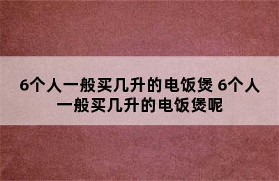 6个人一般买几升的电饭煲 6个人一般买几升的电饭煲呢